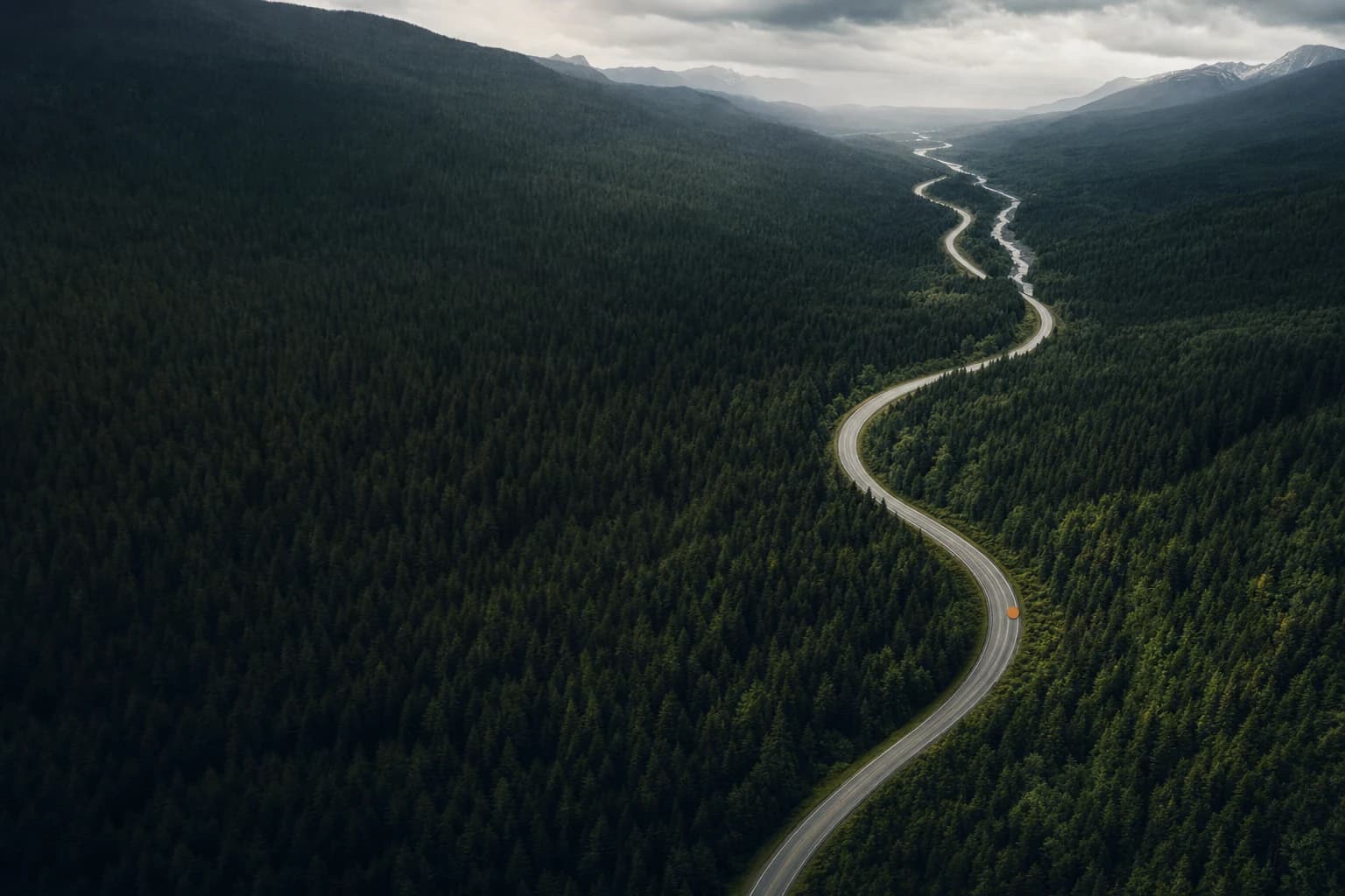 A road tracing a route through a dense evergreen valley